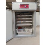 Incubator Manufacturer - Large Sized 50000 Chicken
