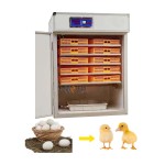 Incubator Manufacturer - High Accuracy Solar Morocco