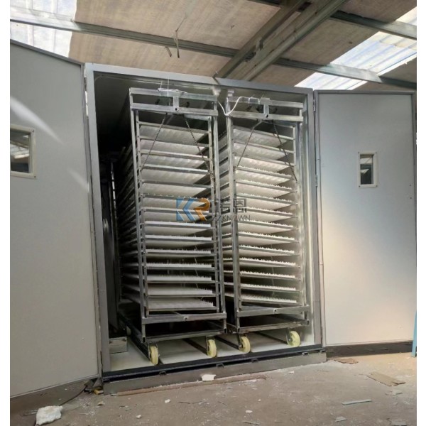 Egg Hatcher Factory - Commercial Electric Solar