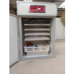 Egg Incubator Factory - Industrial Hatching Automatic