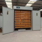 Egg Hatcher Factory - Commercial Electric Solar