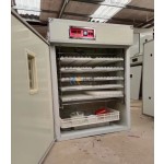 Emu Incubator Factory - Turning Motor 1056 5000