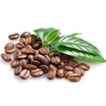 Coffee Roaster Manufacturer - Industrial Bean Baking
