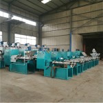 Oil Extraction Manufacturer - Multifunction Cashew Press
