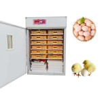 Egg Hatcher Factory - Commercial Electric Solar