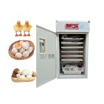 Incubator Manufacturer - Fully Automatic 256 PCS