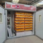 Egg Incubator Manufacturer - 240 PCS Cabinet Hatching