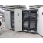 Egg Incubator Manufacturer - 240 PCS Cabinet Hatching