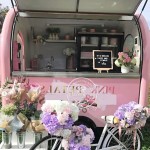 Food Trailer Manufacturer - Retail Mall Outdoor Mini