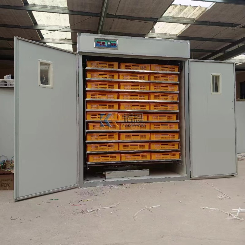 Incubator Manufacturer - Fully Automatic 256 PCS