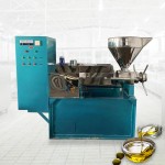 Oil Extraction Manufacturer - Multifunction Cashew Press