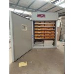 Incubator Manufacturer - Cheap 5280 PCS 2500 Eggs