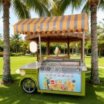 Ice Cream Kiosk Manufacturer - Portable Cold Cabinet