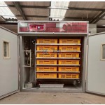 Egg Incubator Factory - Small Sized Holland Automatic