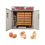 Incubator Manufacturer - High Accuracy Solar Morocco