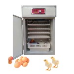 Bird Incubator Manufacturer - Commercial Fully Automatic