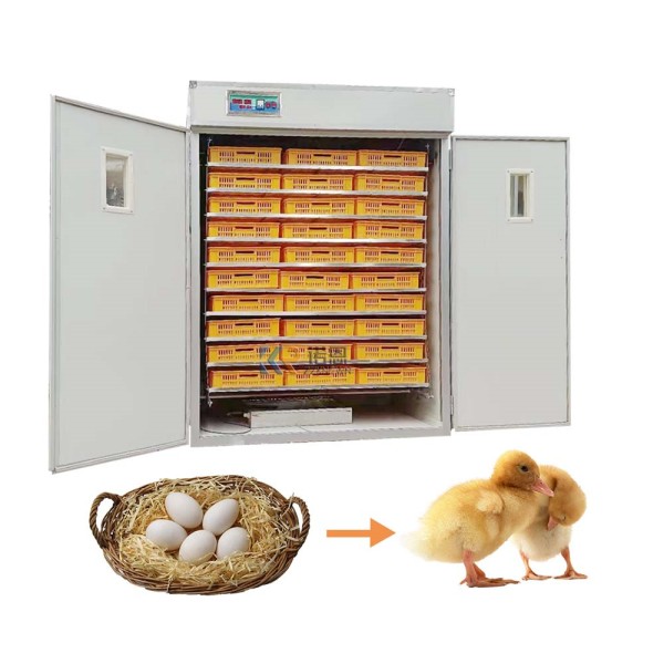 Incubator Manufacturer - Large Sized 50000 Chicken