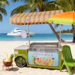 Ice Cream Cart Manufacturer - Food Grade Stainless