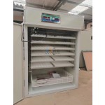Egg Incubator Factory - Industrial Hatching Automatic