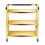 Service Trolley Manufacturer - Golden Arc 3 Layer Hotel Kitchen