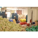 Cotton Doll Manufacturer - Custom Soft PP Cotton Weighted Toy