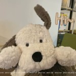 Elephant Plush Doll Manufacturer - Custom Adorable Animal Toy