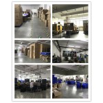 Peacock Keychain Manufacturer - Custom 3D Handmade PVC Doll Charm