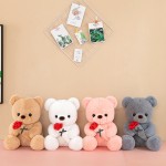 High-Grade Teddy Bear Manufacturer - OEM Custom Valentines Gift