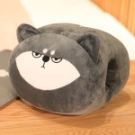 Embroidery Hand Warmer Pillow Supplier - OEM Custom Plush Insert