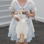 Girls Cat Plush Backpack Factory - OEM Custom Party Gift 14+