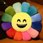 Plush Sunflower Mat Supplier - OEM Custom Rainbow Pillow Design