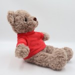 Football Teddy Bear Supplier - Bulk Custom Logo with T-shirt