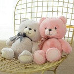 Small Teddy Bear Manufacturer - OEM Custom 30cm Ribbon Bear