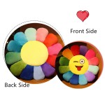 Plush Sunflower Mat Supplier - OEM Custom Rainbow Pillow Design