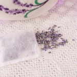 Lavender Teddy Bear Supplier - OEM Custom PP Cotton Filled Doll