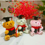 Graduation Bear Keychain Manufacturer - OEM Custom 12cm White Teddy