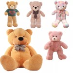 Teddy Bear with Hoodies Manufacturer - OEM Custom Embroidered Plush
