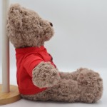 Football Teddy Bear Supplier - Bulk Custom Logo with T-shirt