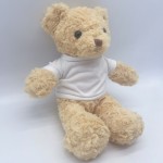 Teddy Bear with Hoodies Manufacturer - OEM Custom Embroidered Plush