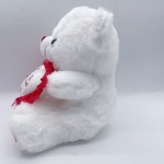 Heart Bear Plush Factory - OEM Custom Valentine TE AMO Gift