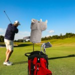 Animal Golf Cap Factory - OEM Custom Cartoon Rhinoceros Cover