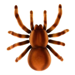 RC Spider Toy Manufacturer - OEM Custom Realistic Moving Pet