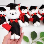 Graduation Bear Manufacturer - OEM Custom Ph.D Master Uniform