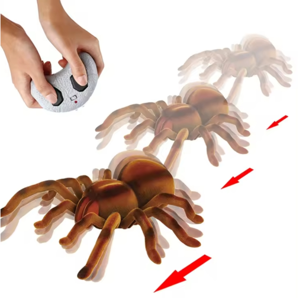RC Spider Toy Manufacturer - OEM Custom Realistic Moving Pet