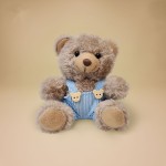 Moving Ears Teddy Bear Manufacturer - OEM Custom T-shirt Plush