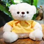 Ready Stock Teddy Bear Supplier - OEM Custom T-shirt Plush Toy