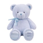 Valentine Bear Toy Manufacturer - OEM Custom My First Teddy