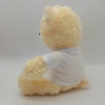 Sublimation Teddy Bear Factory - OEM Custom Logo Plush Toy