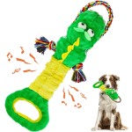 Dog Chew Toy Factory - OEM Custom Improved Pet Relationship