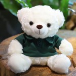 Ready Stock Teddy Bear Supplier - OEM Custom T-shirt Plush Toy